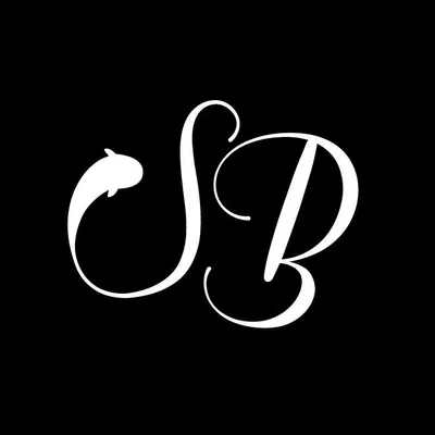 BIRKIN logo
